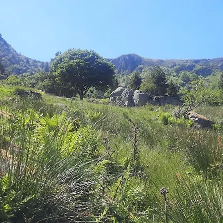 Гостевой дом Le Domaine De Pairis Орбе