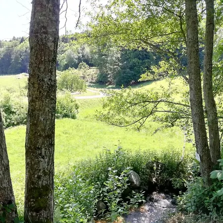 Гостевой дом Le Domaine De Pairis Орбе