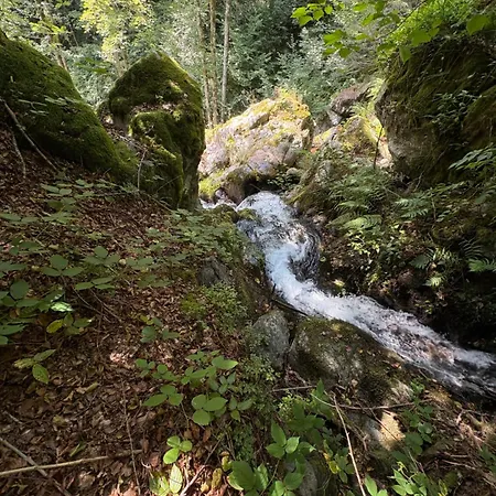 Le Domaine De Pairis Orbey