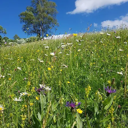 Гостевой дом Le Domaine De Pairis 4*