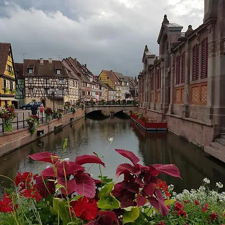 Le Domaine De Pairis