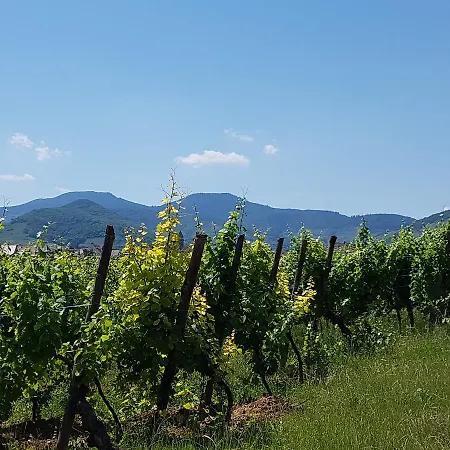 Le Domaine De Pairis 3* Orbey