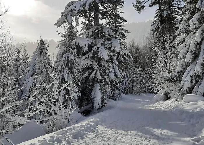 Le Domaine De Pairis Casa de hóspedes