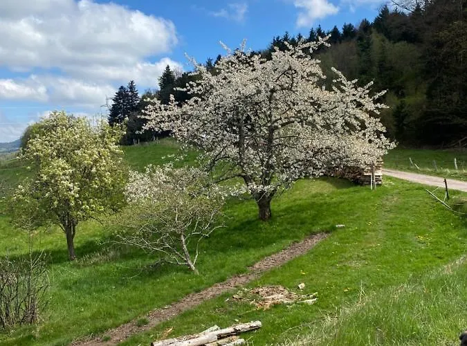 Casa de hóspedes Le Domaine De Pairis Orbey