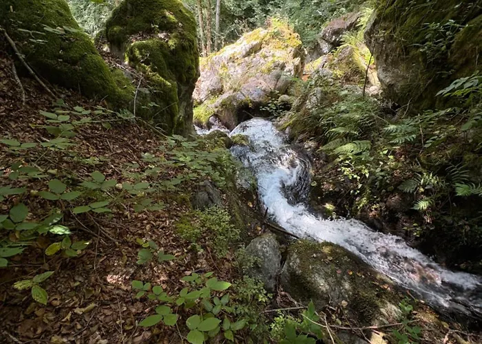 Le Domaine De Pairis Orbey